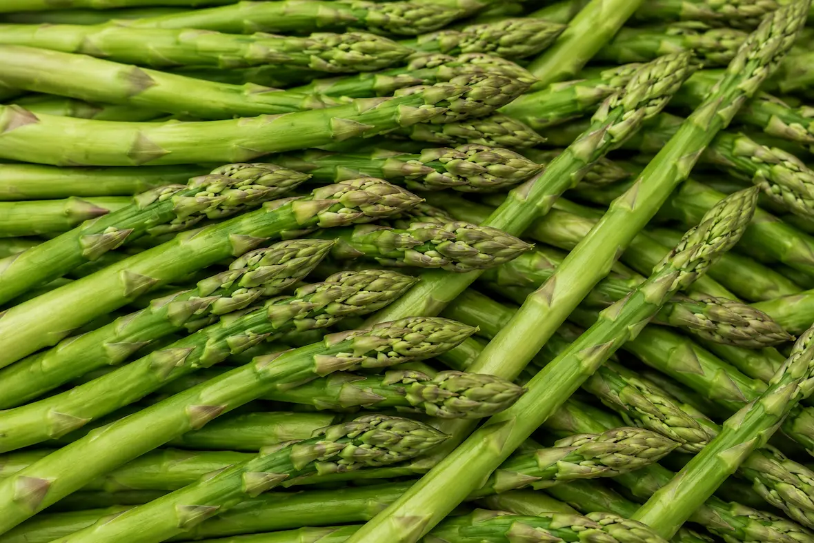 Asparagus ingredient portfolio