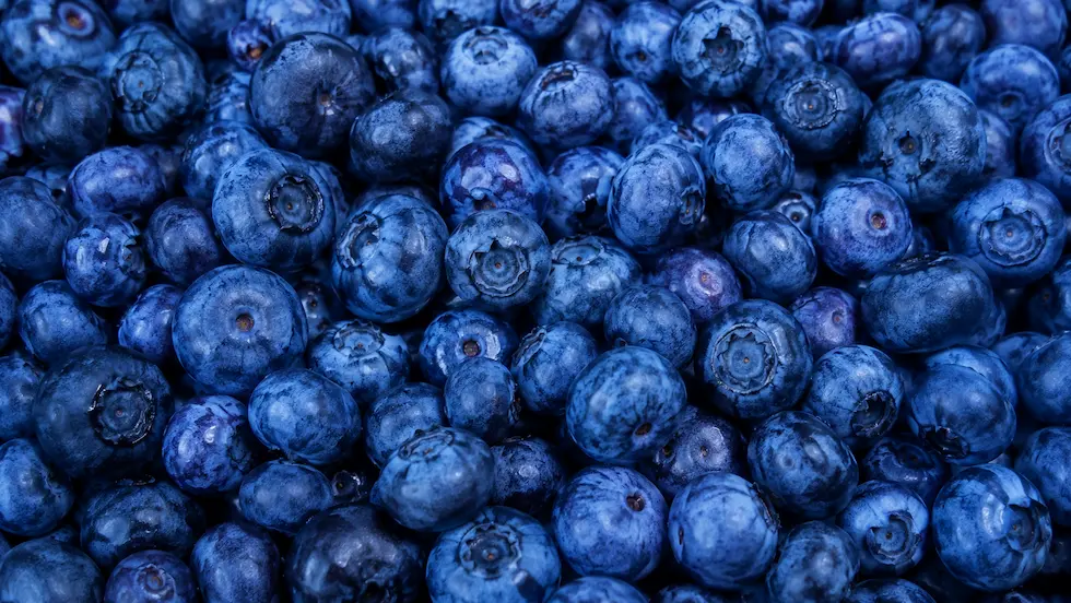 Blueberry ingredient portfolio