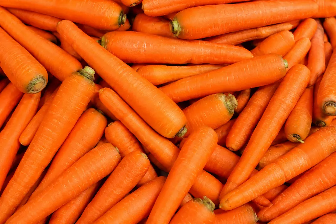 Carrot ingredient portfolio