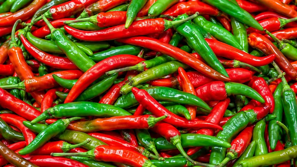 Chili ingredient portfolio