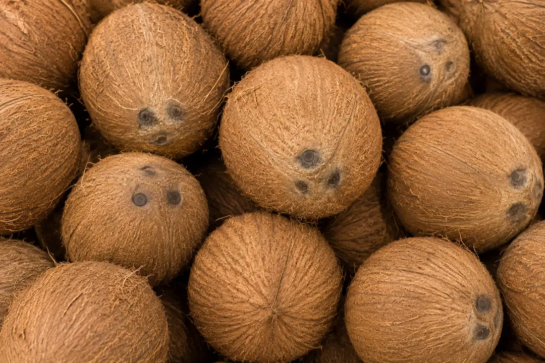 Coconut ingredient portfolio