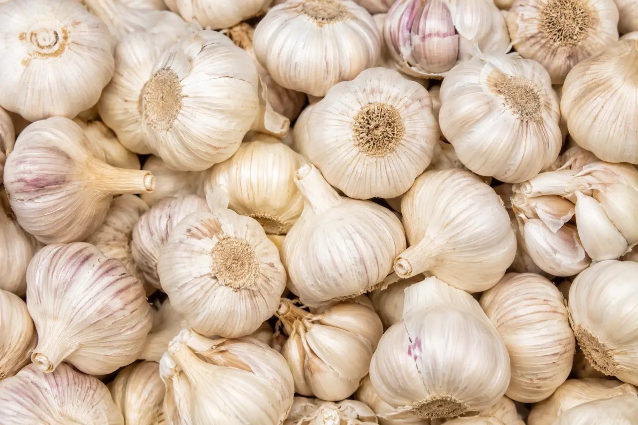 Garlic ingredient portfolio