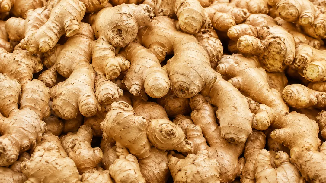 Ginger ingredient portfolio