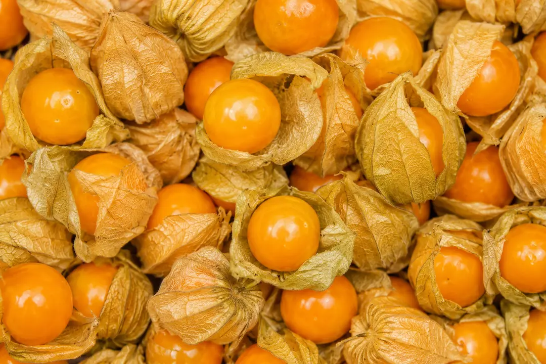 Golden Berry ingredient portfolio
