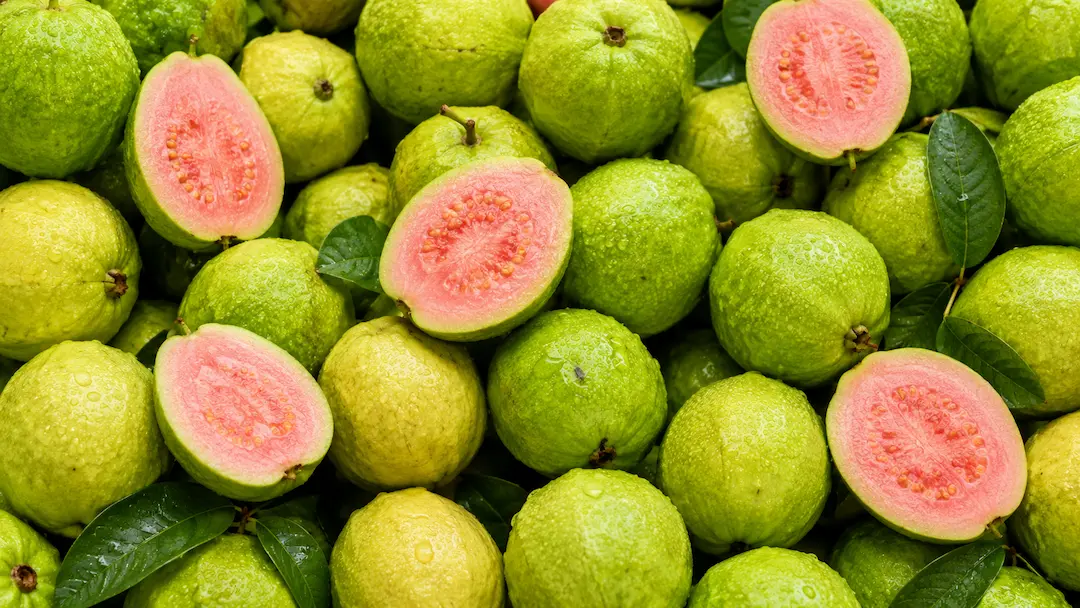 Guava ingredient portfolio