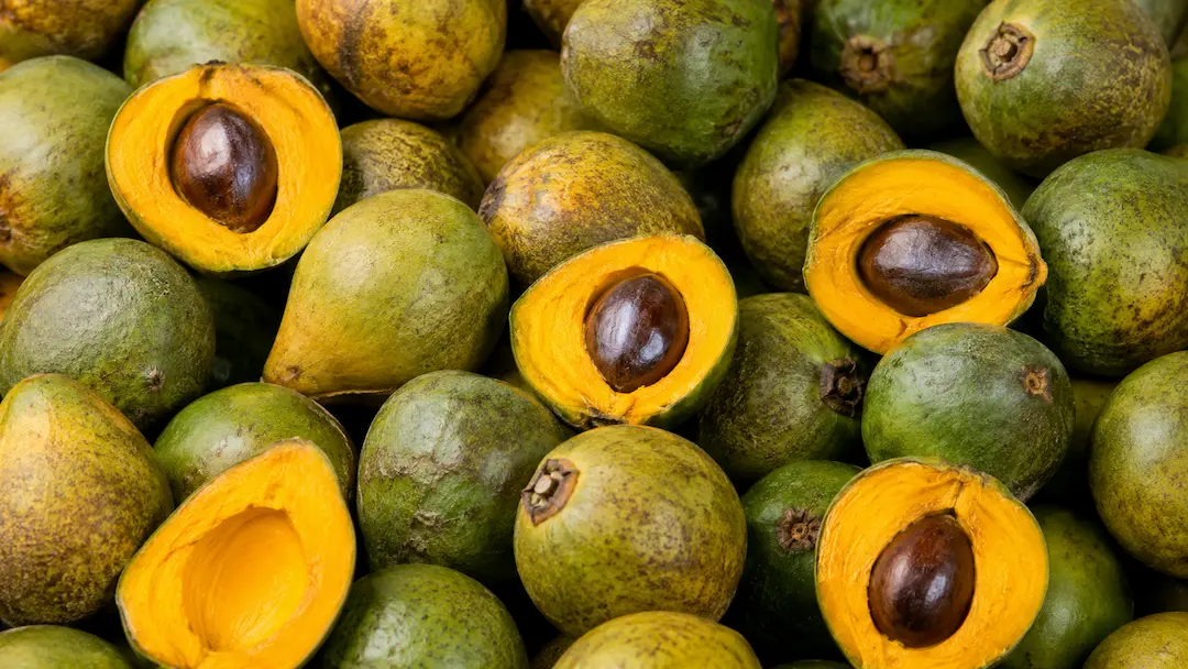 Lucuma ingredient portfolio