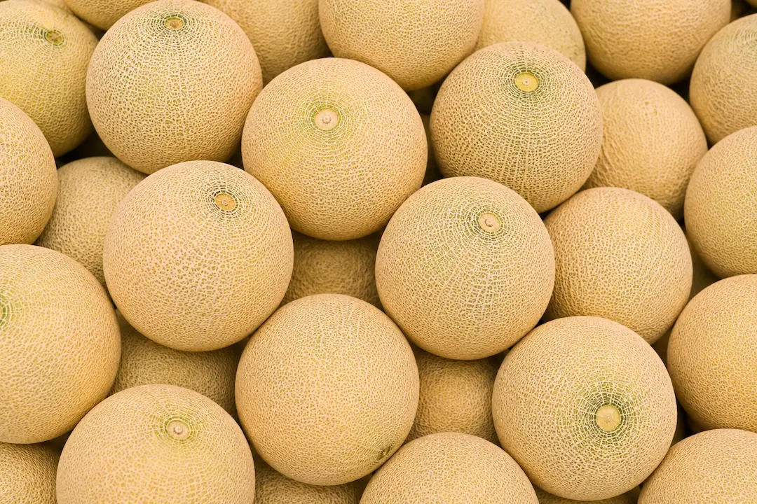 Melon ingredient portfolio