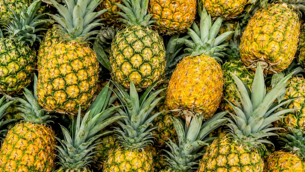 Pineapple ingredient portfolio