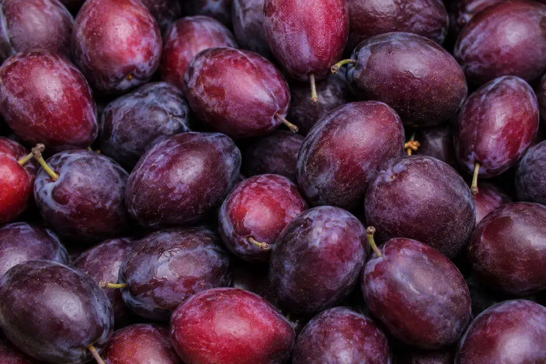 Plum ingredient portfolio