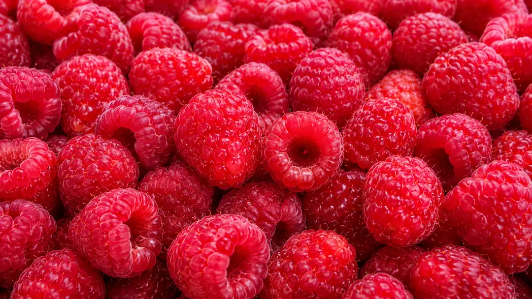 Raspberry ingredient portfolio