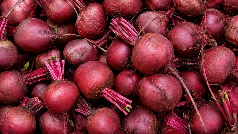 Red Beet ingredient portfolio