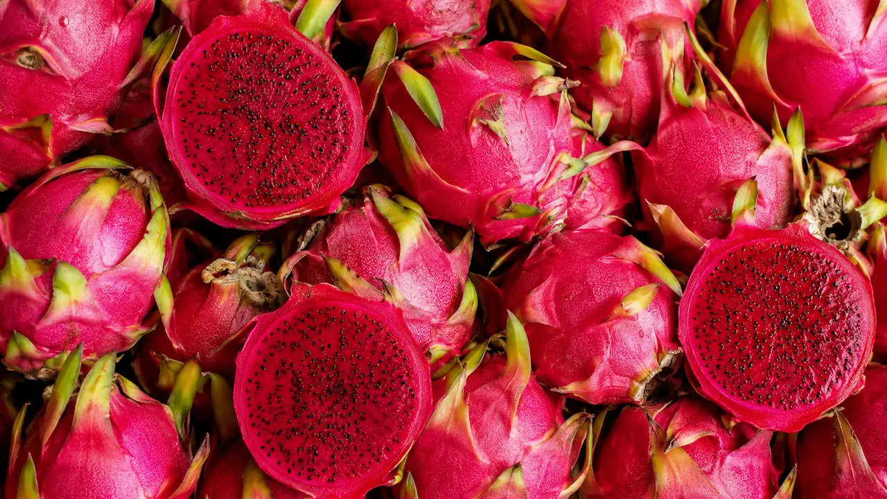 Red Dragon Fruit ingredient portfolio
