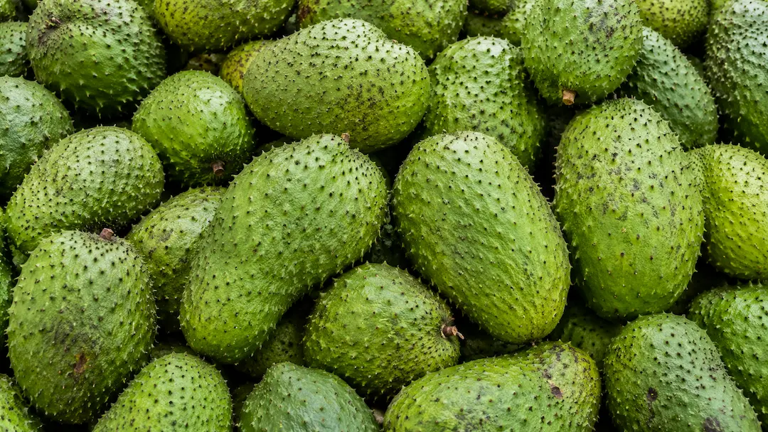 Soursop ingredient portfolio