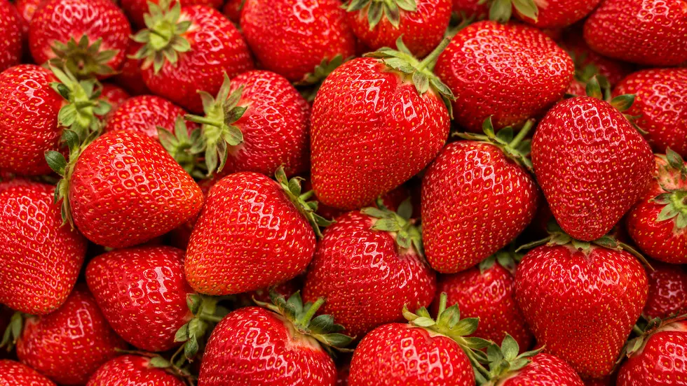 Strawberry ingredient portfolio