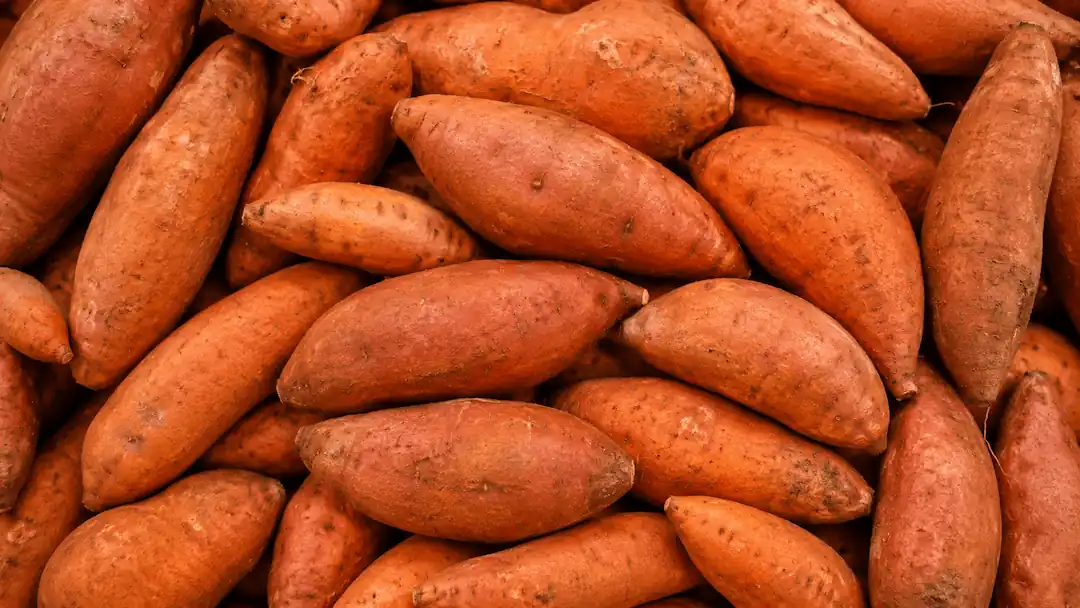 Sweet Potato ingredient portfolio
