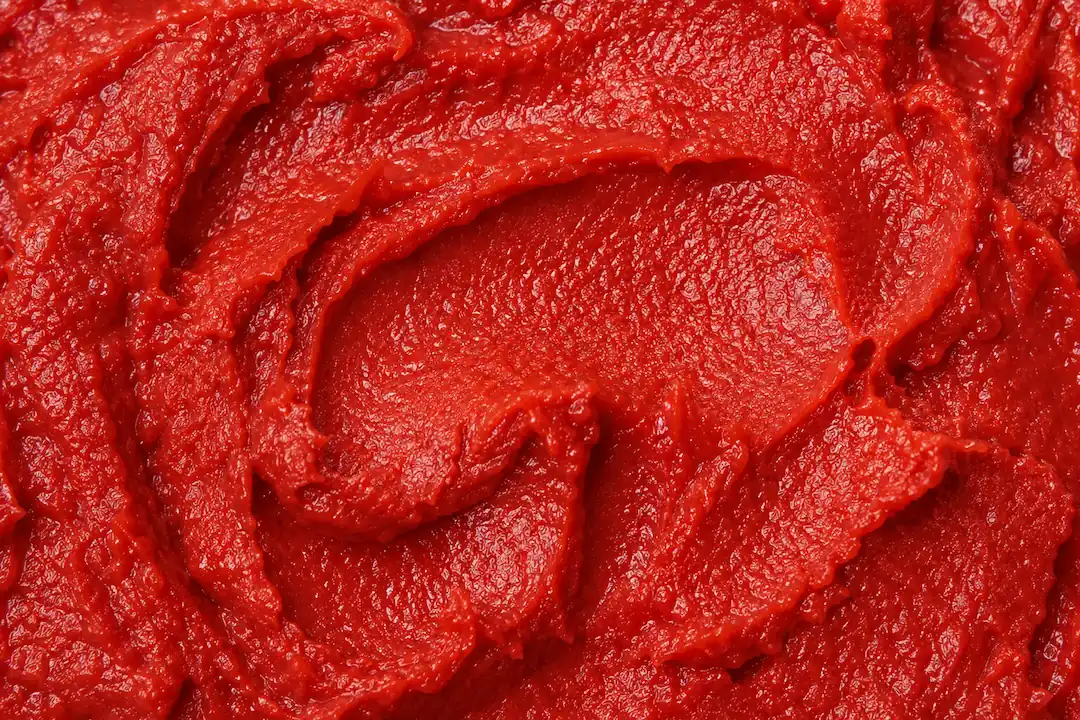 Tomato Paste ingredient portfolio